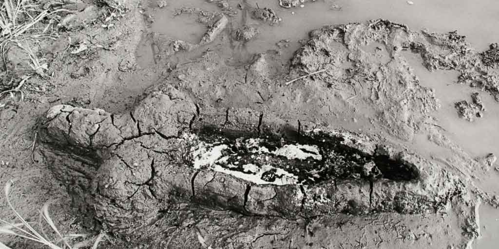 Ana Mendieta