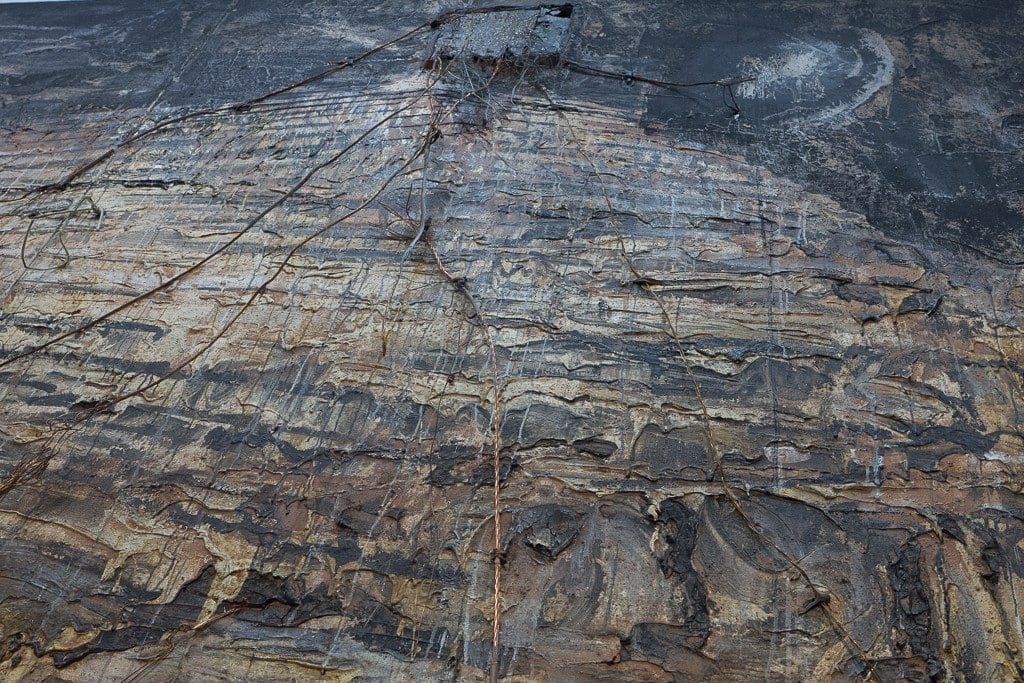 Amsel Kiefer