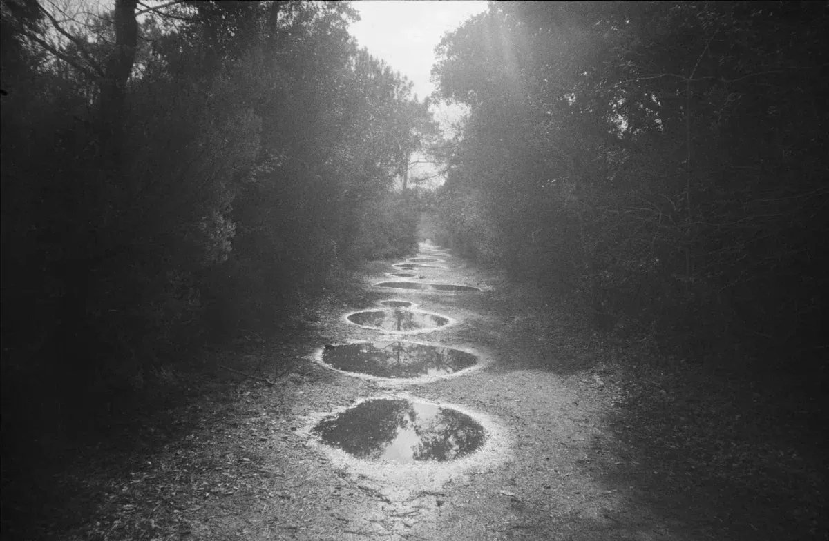 Gabrielle Duplantier, Wild Rose.