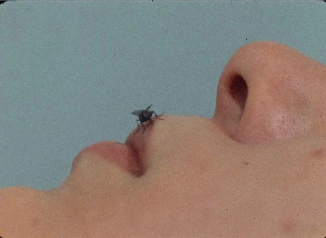 Yoko Ono, Fly, 1970.