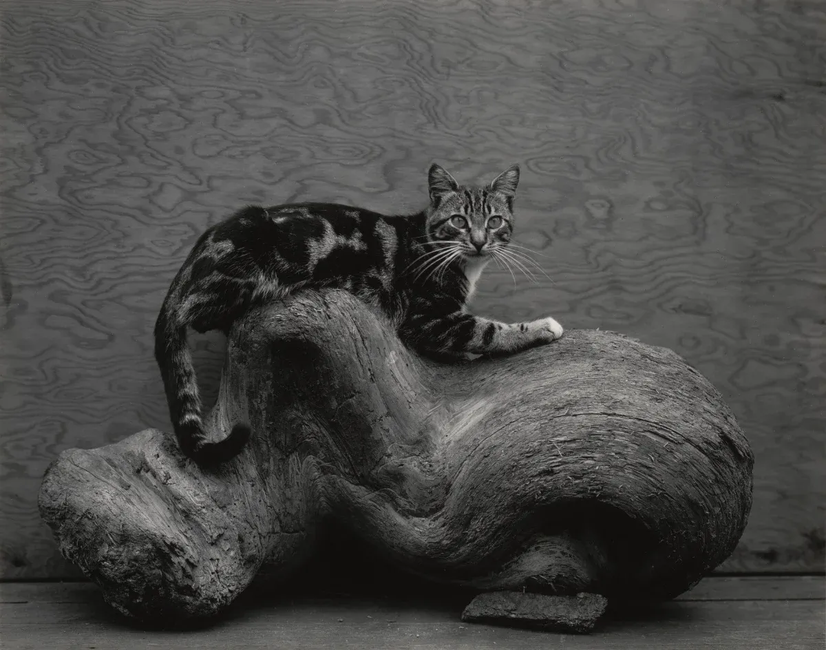 Edward Weston