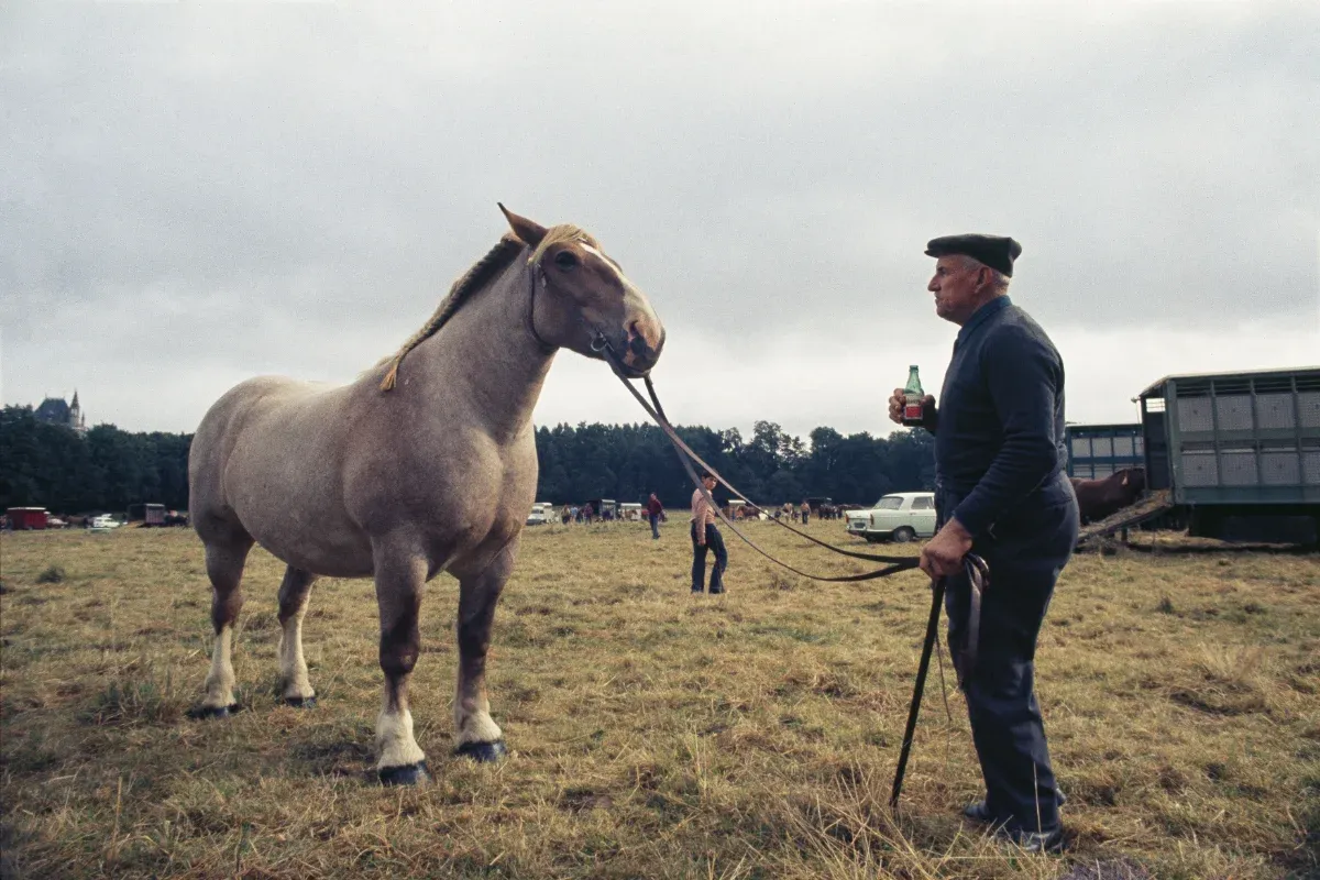 Madeleine de Sinéty. Argentré du Plessis.