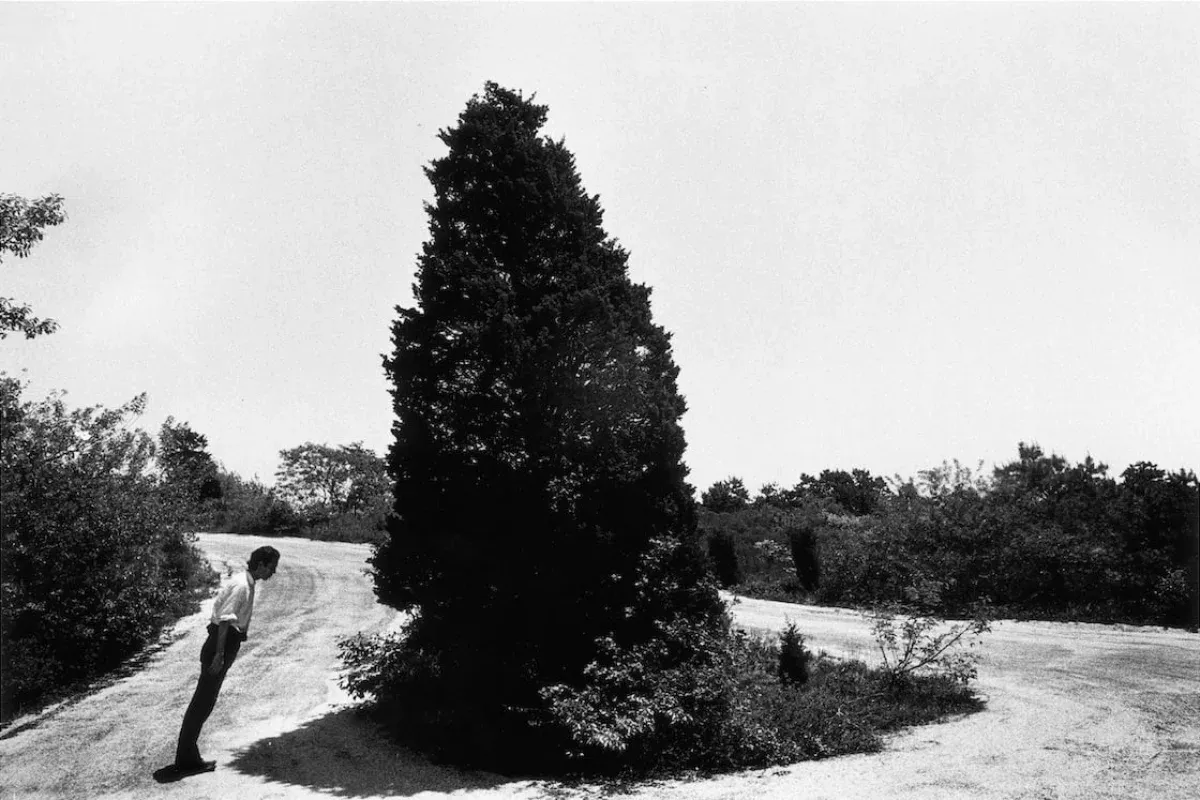 Ralph Gibson. The Somnambulist