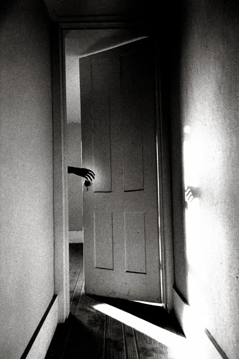 Ralph Gibson. The Somnambulist.