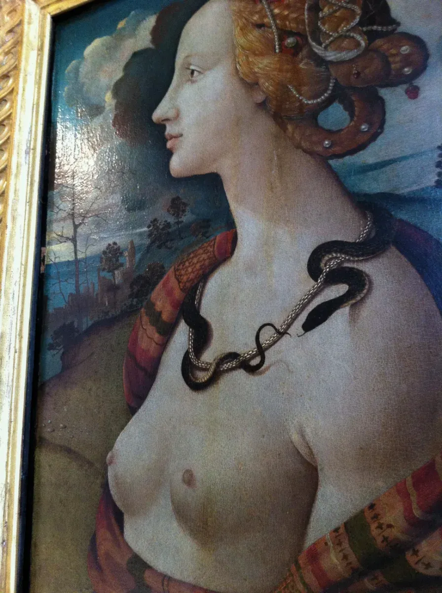 Piero di Cosimo. Portrait de Simonetta Vespucci. In situ. Musée Condé.