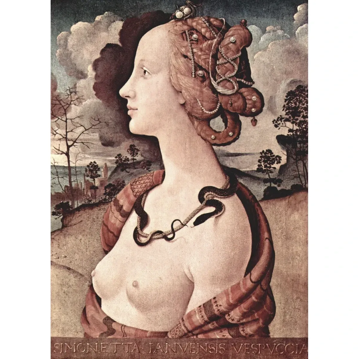 Portrait de Simonetta Vespucci. Piero di Cosimo. 1480). Musée Condé de Chantilly.