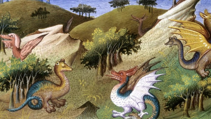 Dragon, entre le réel le sacré et la malédiction