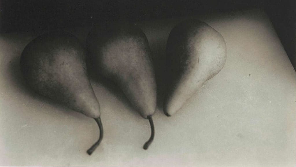 Jan Groover les formes et sensations du réel