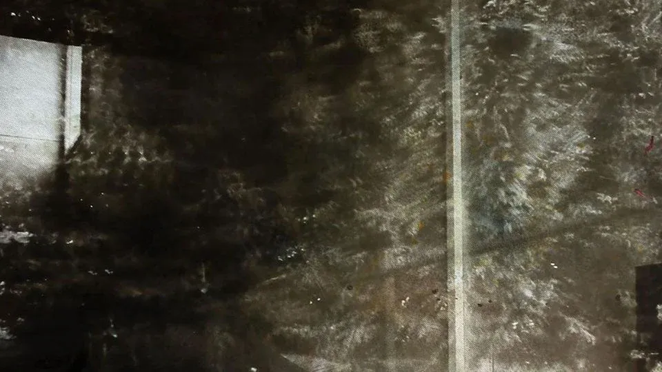 Eva Nielsen la surface du réel