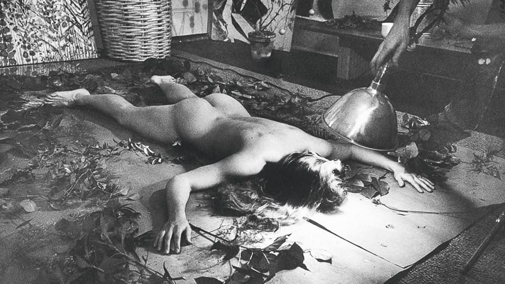 Robert Rauschenberg, vaporous fantasies