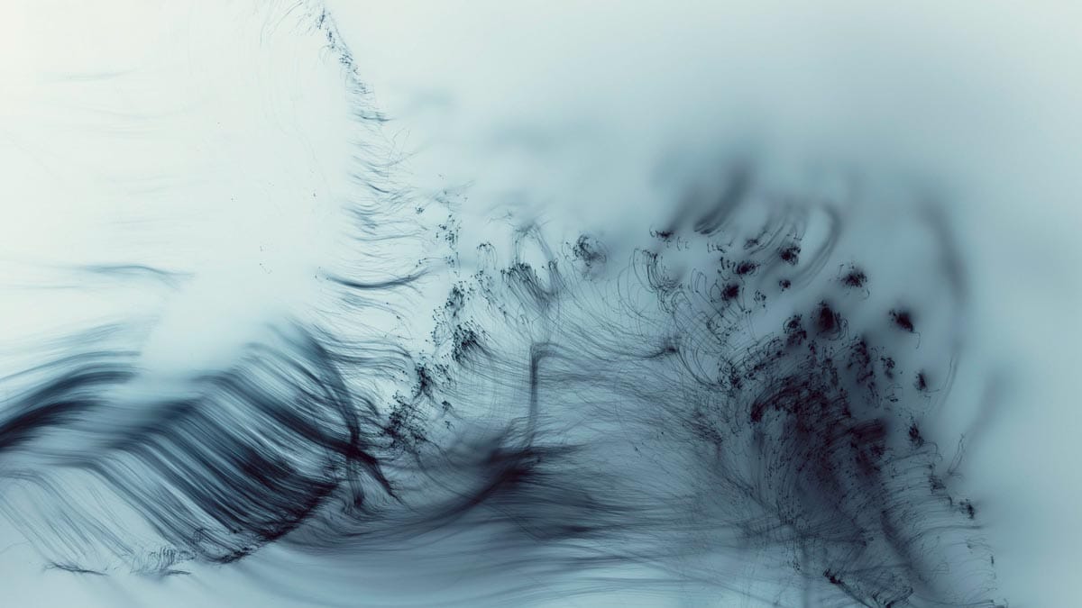 Wolfgang Tillmans la photographie iconoclaste