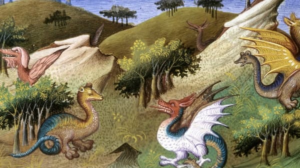 Dragon, entre le réel le sacré et la malédiction