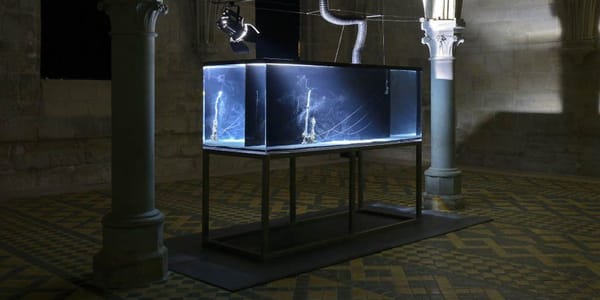 Hicham Berrada paysages entropiques et alchimie