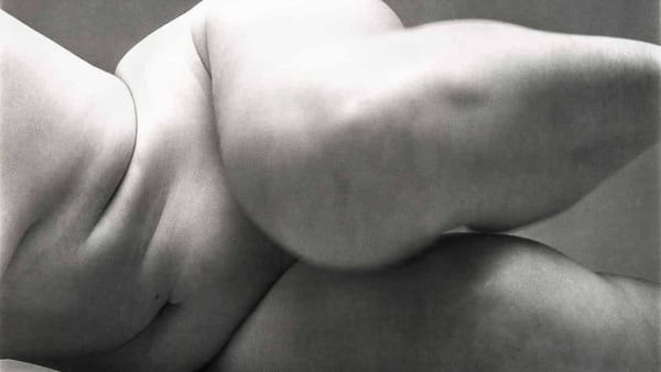 Irving Penn, photographe de nus hors normes
