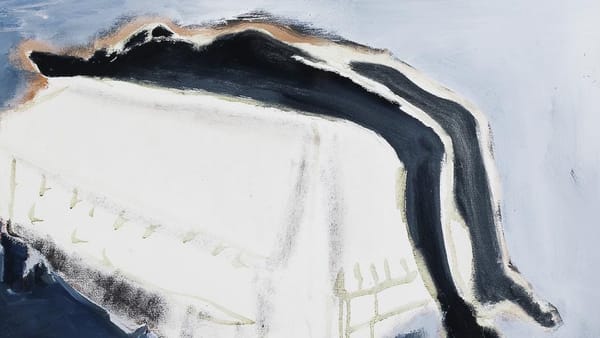 Marlene Dumas, Figure et figures