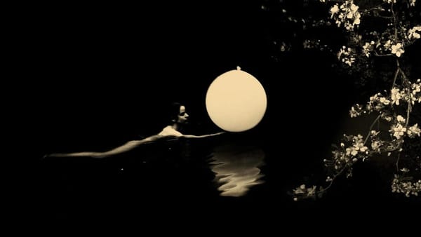 Paul Cupido, photographe de l’impermanence