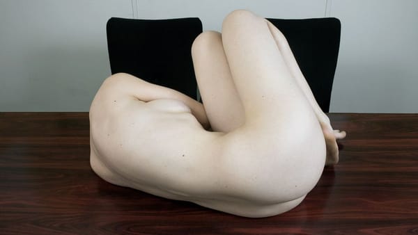Polly Penrose autoportrait en accessoire