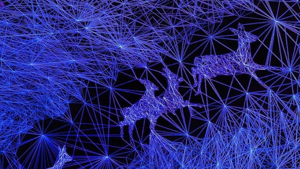 Julien Salaud, hybridation et indétermination