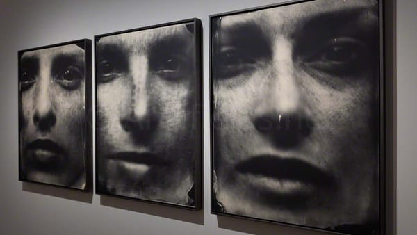 Sally Mann au musée du Jeu de Paume. A thousand crossings