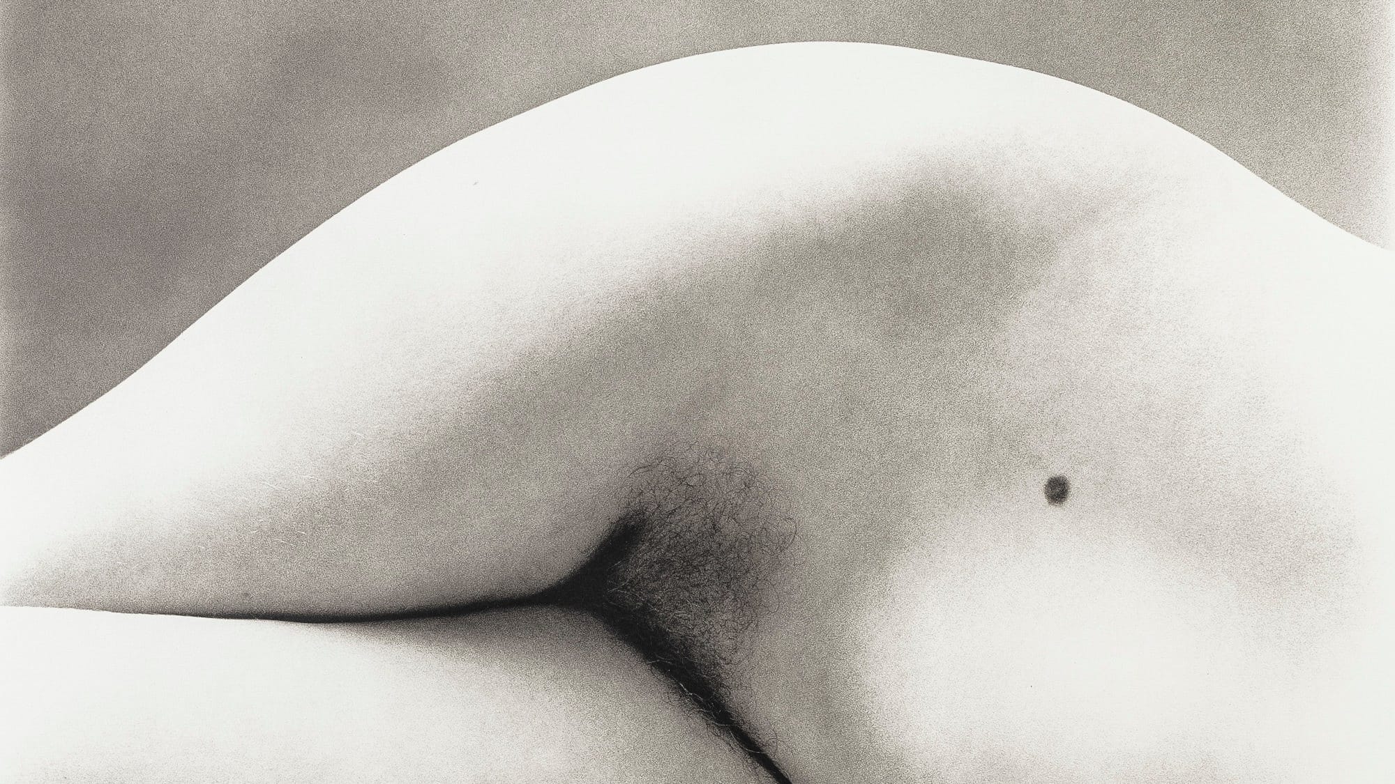 image from Irving Penn, photographe de nus hors normes